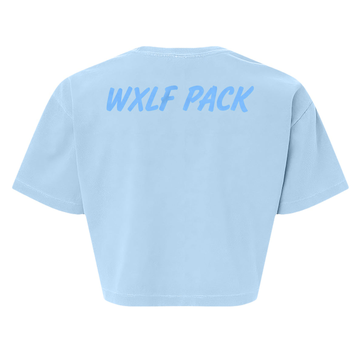 Faded Powder Blue - 1302GD - BACK