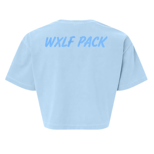 Faded Powder Blue - 1302GD - BACK