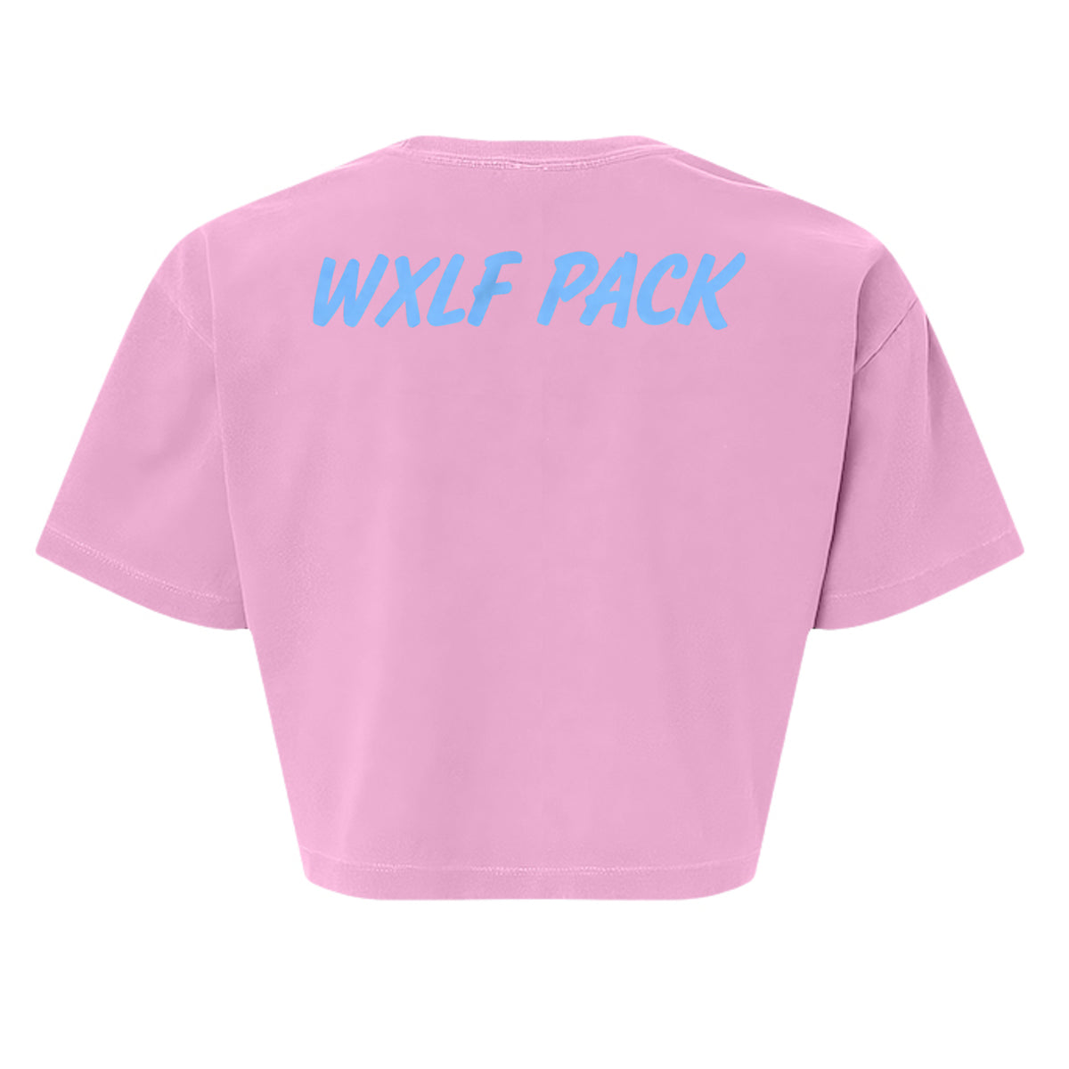 Faded Powder Pink - 1302GD - BACK